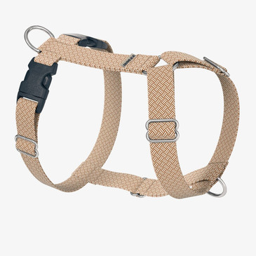 front view of harness front view of harness